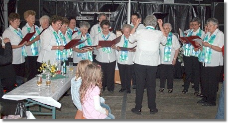 Frauenchor im Wiesengrund singt